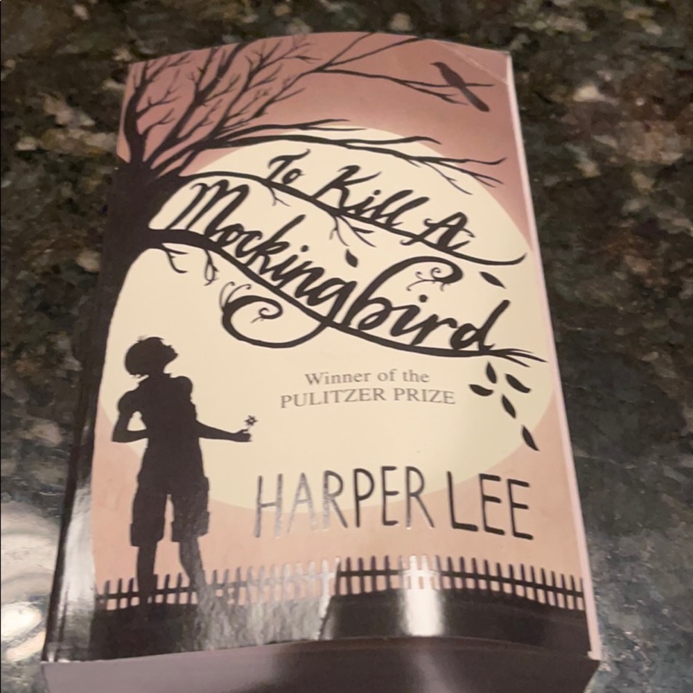 To kill a mockingbird by Harper Lee (book)